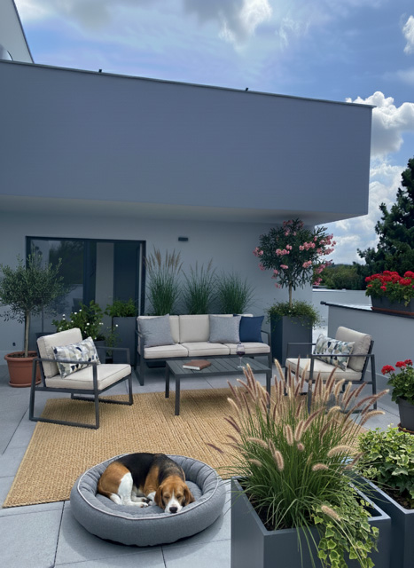 Terasové domy Pelhřimov